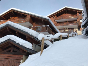 Appartement lumineux 2 chambres, parking, terrasse, proche commerces et pistes à Arêches-Beaufort - FR-1-342-226
